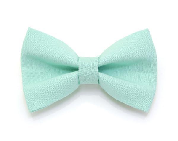 Conjunto de collar y pajarita para gato - Menta