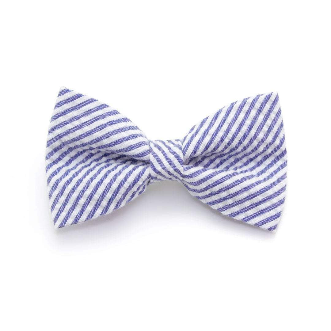 Juego de collar para gatos - Newport
