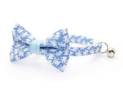 Collar para mascotas - Hoppy Hour Bunny