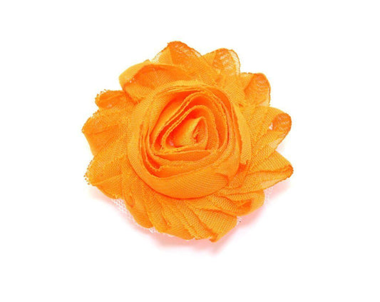 Ramillete de flores para mascotas - Calabaza
